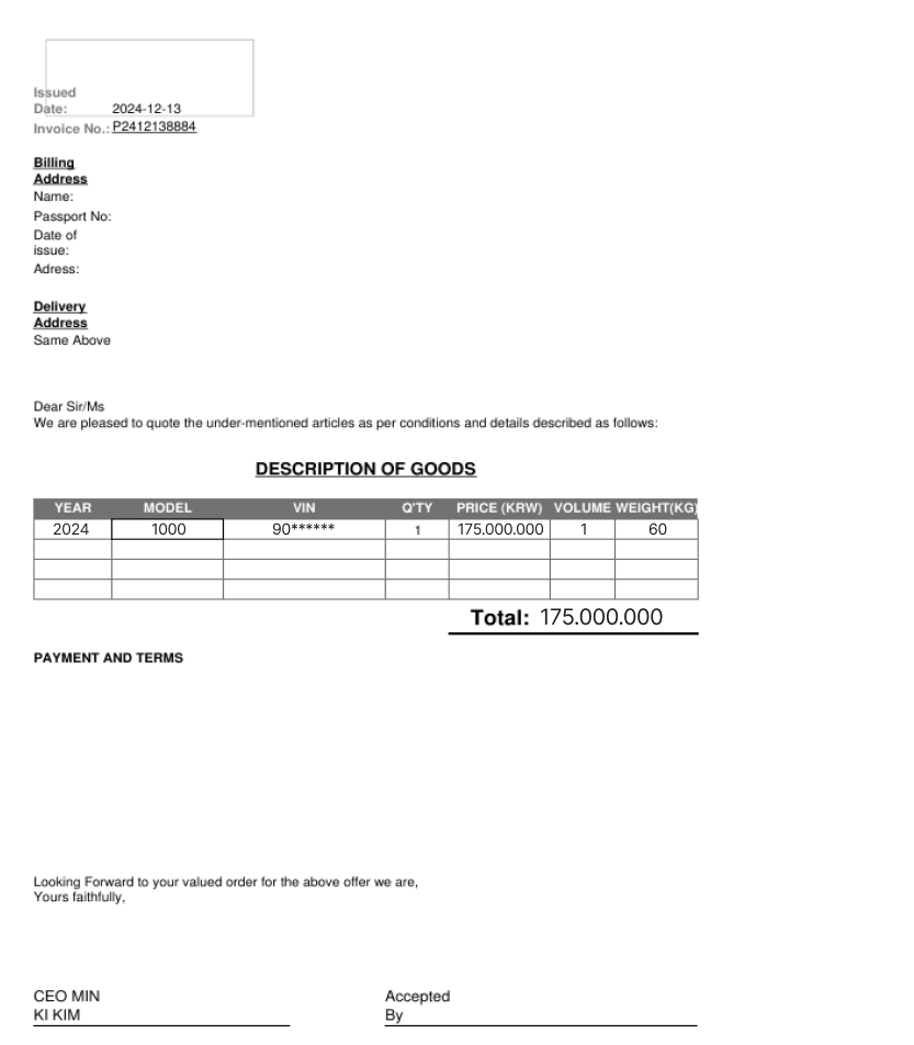 demo invoice view